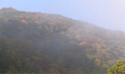 紅葉２.jpg