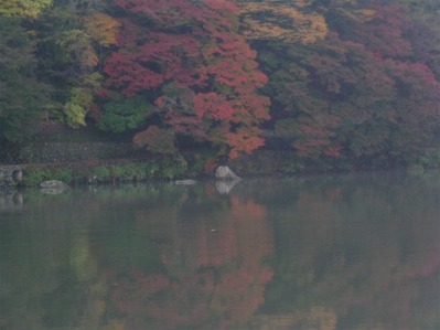 紅葉４.jpg
