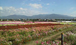 画像3.jpg