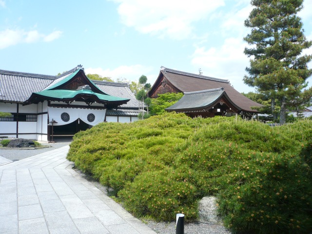 01.JPG