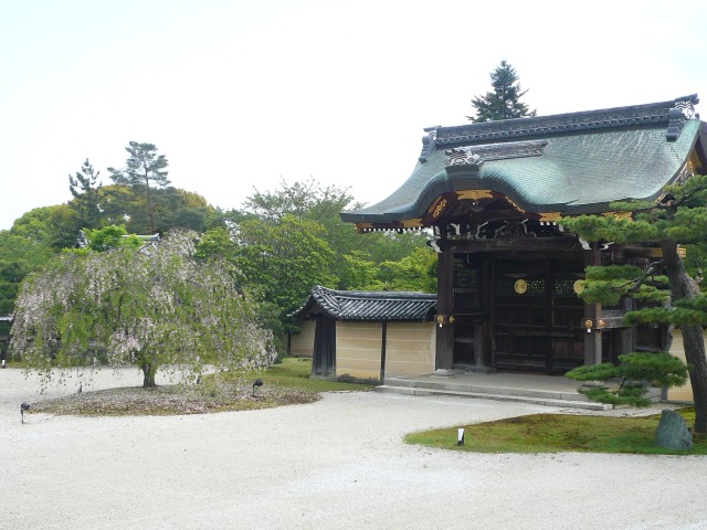 05.JPG