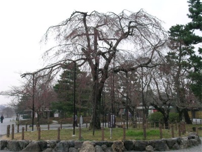 070324a.jpg
