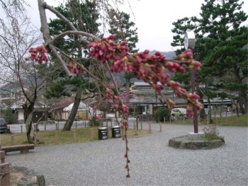 070324b.jpg