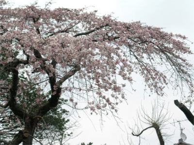 070324c.jpg