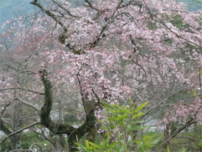 070324d.jpg