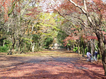 表参道
