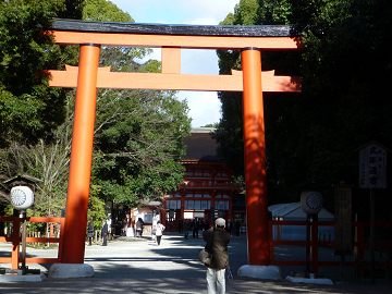 resize0155.jpg