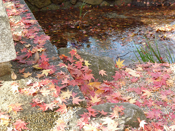 resize0197.jpg