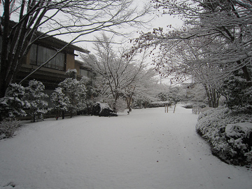 resize0244.jpg