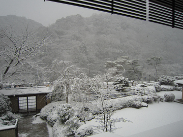 resize0247.jpg