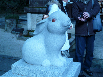 resize0263.jpg