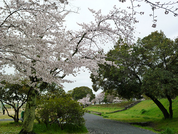 公園内