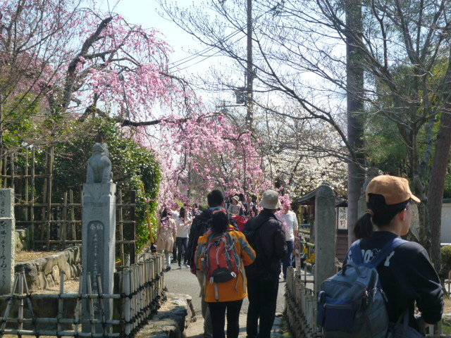 resize0598.jpg