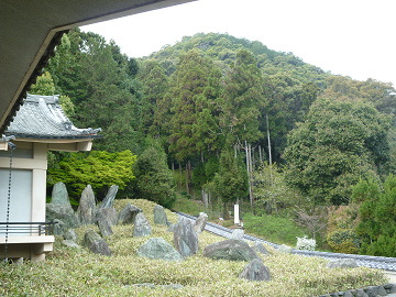resize0647.jpg