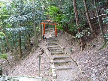 resize0654.jpg