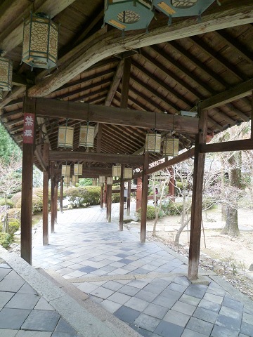 resize1328.jpg