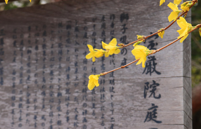 【嵐山観光シリーズ】宝厳院春の特別拝観券付プラン【贅沢】