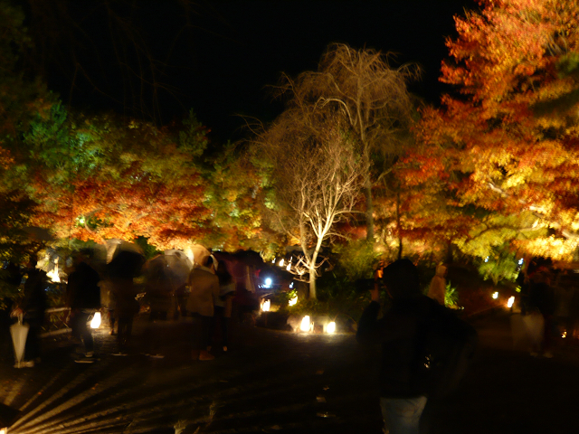 宝厳院　全体　0357.jpg