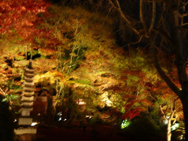 宝厳院　石塔　0361.jpg