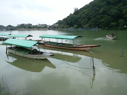 台風鵜飼開始.jpg