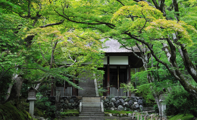 常寂光寺イメージ